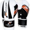 Fortitude Fightwear 12oz Boxing Gloves