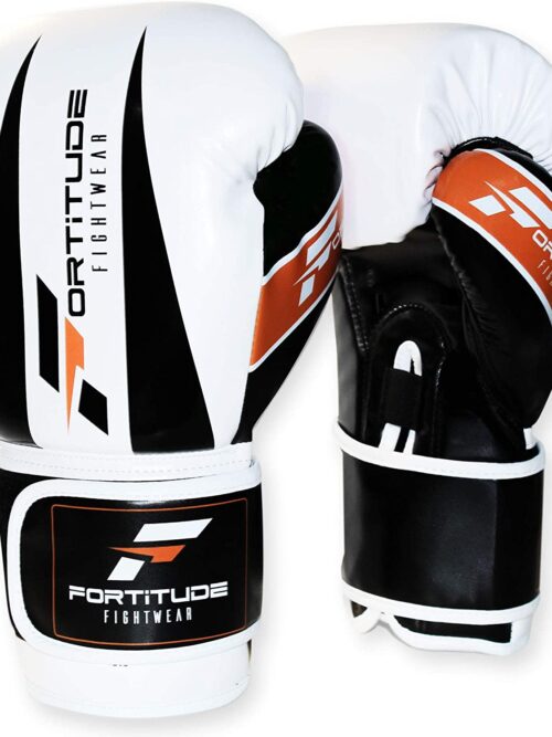 Fortitude Fightwear 12oz Boxing Gloves